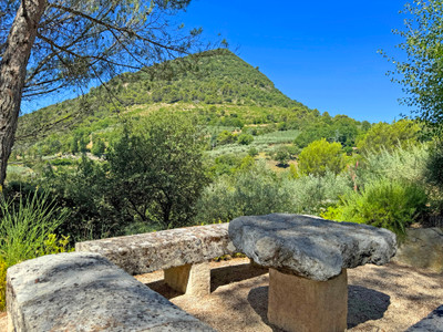 French property for sale in Aubres, Drôme - €795,000 - photo 9