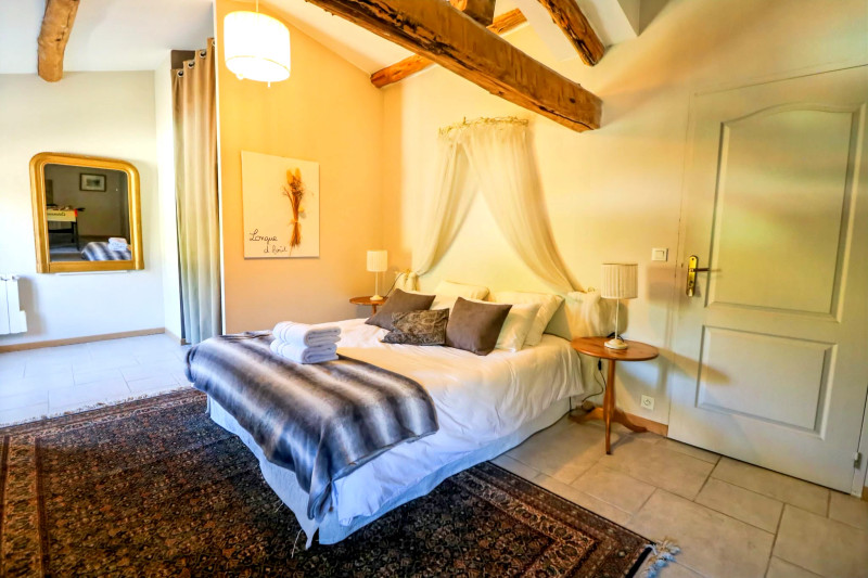 French property for sale in Vézénobres, Gard - €1,500,000 - photo 8