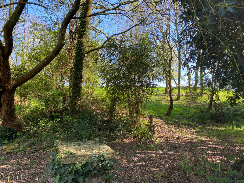 French property for sale in Saint-Aubin-de-Terregatte, Manche - €77,000 - photo 13