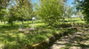 French property for sale in Perche en Nocé, Orne - €498,000 - thumbnail 9