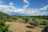 French property for sale in Cotignac, Var - €790,000 - thumbnail 9