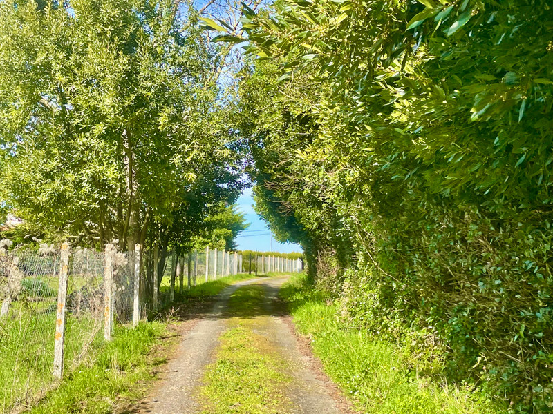 French property for sale in Bois, Charente-Maritime - €279,995 - photo 2
