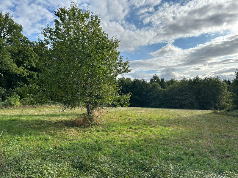French property for sale in Saint-Bazile, Haute-Vienne - €66,600 - photo 7