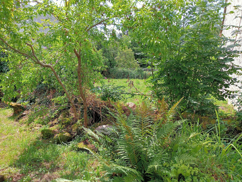 French property for sale in Gros-Chastang, Corrèze - €41,600 - photo 9