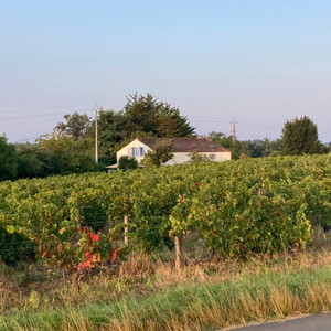French property for sale in Saint-Émilion, Gironde - €395,000 - photo 1