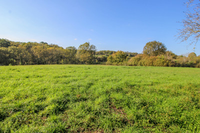 French property for sale in Saint-Félix-de-Villadeix, Dordogne - €77,000 - photo 8