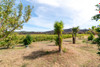 French property for sale in Thézan-des-Corbières, Aude - €689,000 - thumbnail 9
