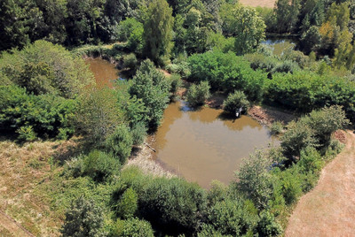 French property for sale in Champs-Romain, Dordogne - €599,950 - photo 4