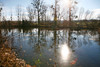 French property for sale in La Rochebeaucourt-et-Argentine, Dordogne - €15,350 - thumbnail 13