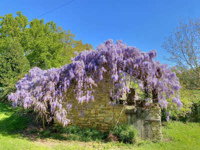French property for sale in Navarrenx, Pyrénées-Atlantiques - €375,000 - photo 12