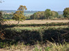 French property for sale in Néret, Indre - €267,500 - thumbnail 9
