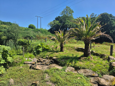 French property for sale in Callac, Côtes-d'Armor - €317,990 - photo 5