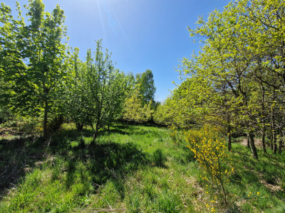 French property for sale in Saint-Agnant-près-Crocq, Creuse - €104,500 - photo 10