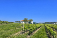 Propriété à vendre à Châteauneuf-sur-Charente, Charente - 162 000 € - photo n°1