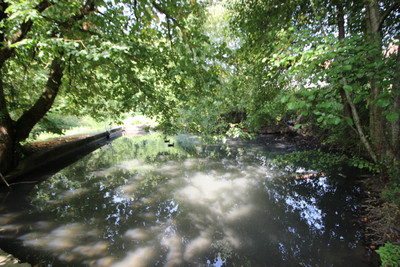French property for sale in Eyraud-Crempse-Maurens, Dordogne - €315,000 - photo 6