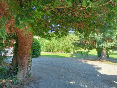 French property for sale in Argentat-sur-Dordogne, Corrèze - €397,500 - photo 7