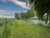 Lacs à vendre à Condéon, Charente - 79 200 € - photo 7