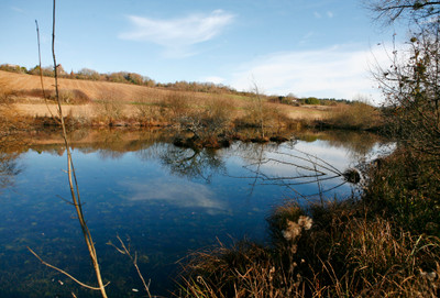 French property for sale in La Rochebeaucourt-et-Argentine, Dordogne - €15,350 - photo 10