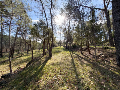 French property for sale in Seillans, Var - €750,000 - photo 2