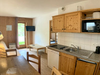 Propriété à vendre à Saint-Sorlin-d'Arves, Savoie - 91 000 € - photo n°1