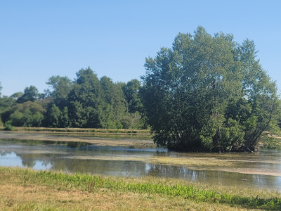French property for sale in Saulgond, Charente - €130,800 - photo 3