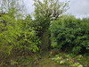 French property for sale in Gorron, Mayenne - €51,600 - thumbnail 14