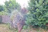 French property for sale in Marçon, Sarthe - €127,000 - thumbnail 14