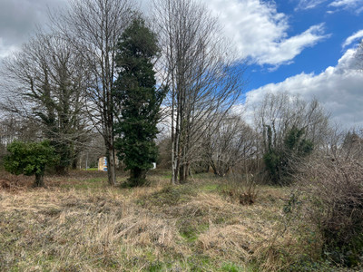 French property for sale in La Coquille, Dordogne - €20,000 - photo 4