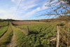 French property for sale in Cause-de-Clérans, Dordogne - €39,600 - thumbnail 7