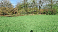 Propriété à vendre à Tinchebray-Bocage, Orne - 19 000 € - photo n°9