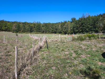 French property for sale in Saint-Martin-le-Pin, Dordogne - €262,150 - photo 5