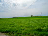 Maison à vendre à Saint-Savinien, Charente-Maritime - 299.999 € - photo 13