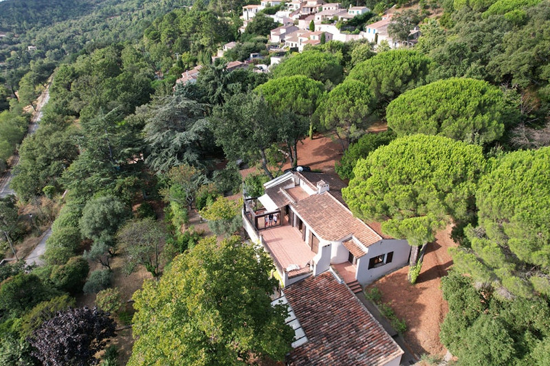 Terrain à vendre à La Garde-Freinet, Var - 141 225 € - photo 1