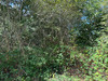 French property for sale in Saint-Saud-Lacoussière, Dordogne - €30,100 - thumbnail 14