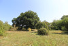 French property for sale in Vicq-sur-Gartempe, Vienne - €248,240 - thumbnail 14