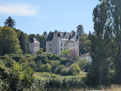 chateau for sale in Charente