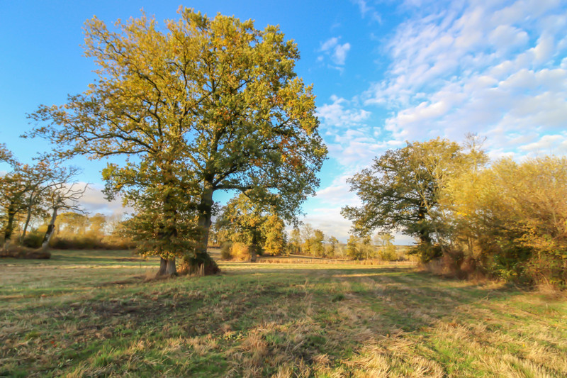 French property for sale in Rancon, Haute-Vienne - €152,600 - photo 12