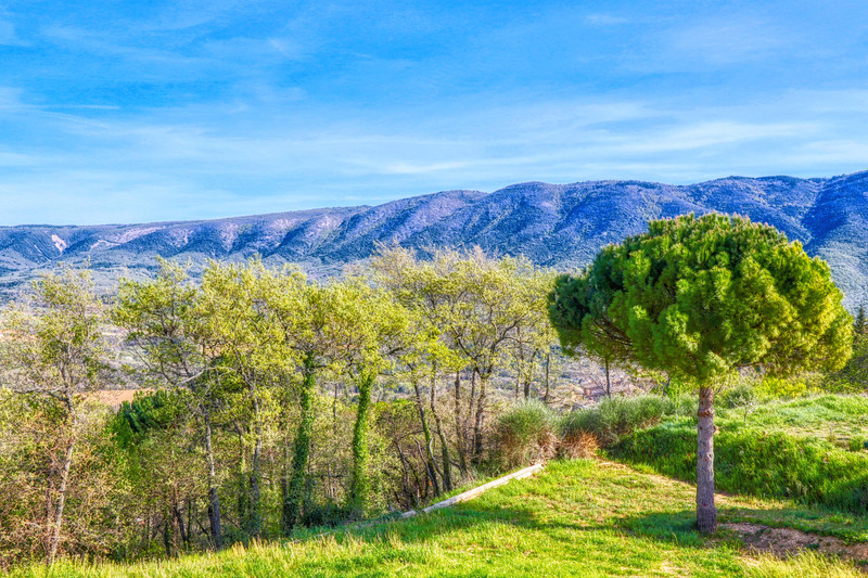 French property for sale in Saint-Martin-de-Castillon, Vaucluse - €495,000 - photo 10