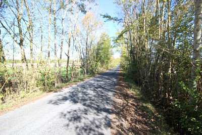 French property for sale in Mazières-Naresse, Lot-et-Garonne - €780,000 - photo 9