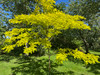 French property for sale in Plestin-les-Grèves, Côtes-d'Armor - €1,395,000 - thumbnail 9