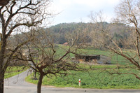 Propriété à vendre à Doissat, Dordogne - 230 000 € - photo n°14
