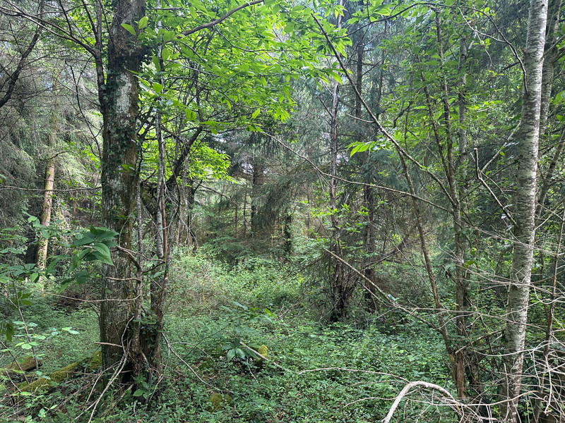 French property for sale in Champs-Romain, Dordogne - €41,600 - photo 7
