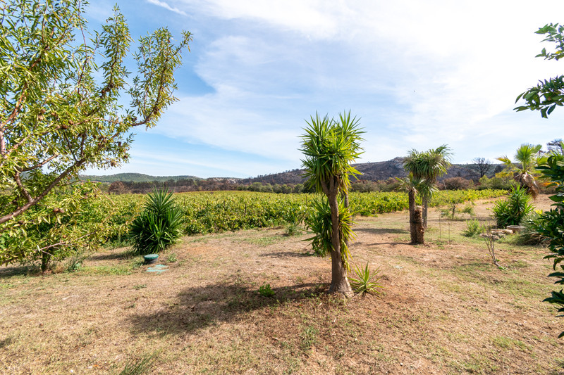 French property for sale in Thézan-des-Corbières, Aude - €689,000 - photo 4