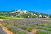 French property for sale in Simiane-la-Rotonde, Alpes-de-Haute-Provence - €390,000 - thumbnail 9