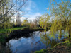 French property for sale in Meillard, Allier - €650,000 - thumbnail 9