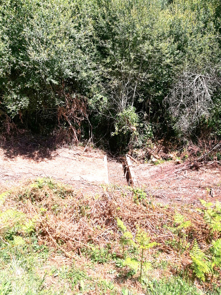 French property for sale in Cussac, Haute-Vienne - €56,600 - photo 6