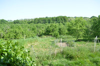 Propriété à vendre à Hautesvignes, Lot-et-Garonne - 199 800 € - photo n°10