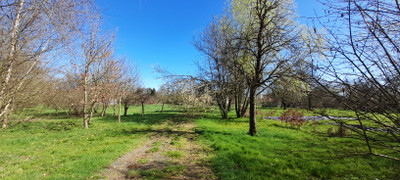 French property for sale in Bellou-en-Houlme, Orne - €550,000 - photo 8