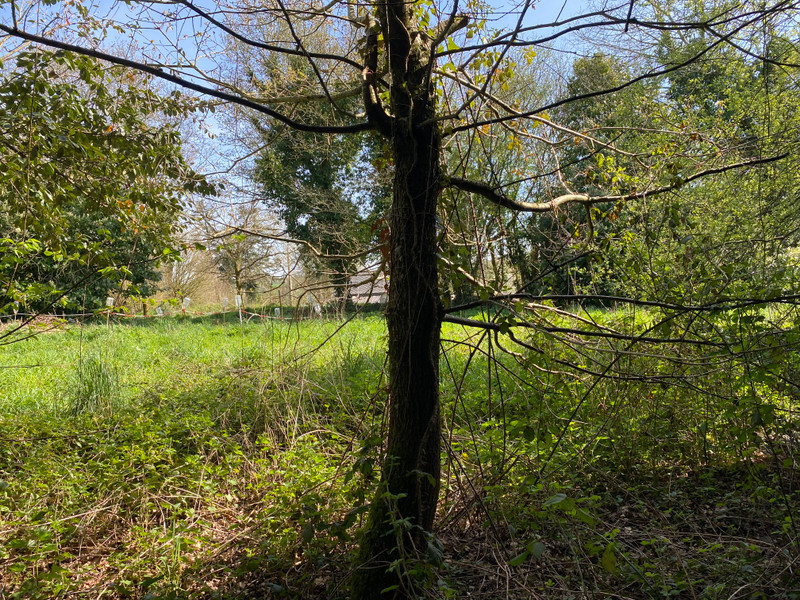 French property for sale in Poullaouen, Finistère - €42,400 - photo 10