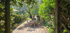 French property for sale in Mouilleron-Saint-Germain, Vendée - €189,000 - thumbnail 14